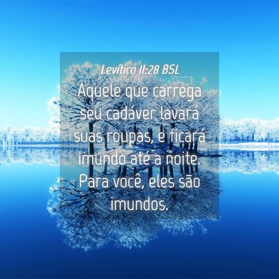 Picture 04 - Levítico 11:28 BSL - Aquele que carrega seu cadáver lavará suas - Bible Verse Picture