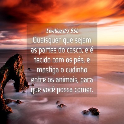 Picture 04 - Levítico 11:3 BSL - Quaisquer que sejam as partes do casco, e é - Bible Verse Picture