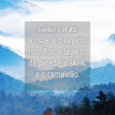 Picture 04 - Levítico 11:30 BSL - a osga, e o lagarto monitor, o lagarto da parede, - Bible Verse Picture