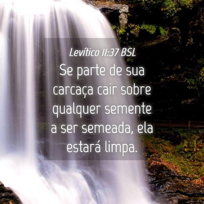 Picture 04 - Levítico 11:37 BSL - Se parte de sua carcaça cair sobre qualquer - Bible Verse Picture