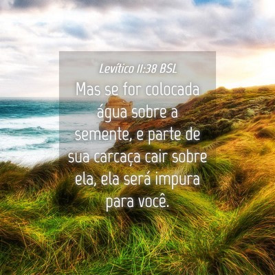 Picture 04 - Levítico 11:38 BSL - Mas se for colocada água sobre a semente, e - Bible Verse Picture