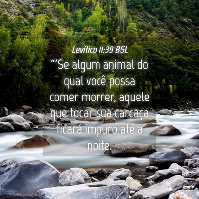 Picture 04 - Levítico 11:39 BSL - “'Se algum animal do qual você possa comer - Bible Verse Picture