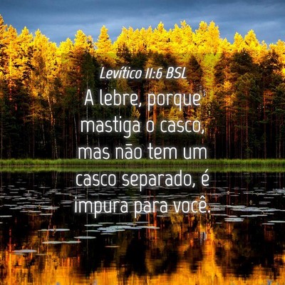 Picture 04 - Levítico 11:6 BSL - A lebre, porque mastiga o casco, mas não tem um - Bible Verse Picture