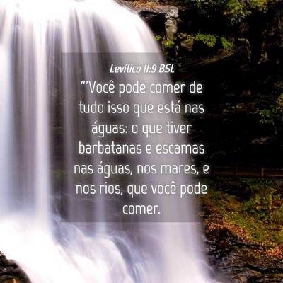 Picture 04 - Levítico 11:9 BSL - “'Você pode comer de tudo isso que está nas - Bible Verse Picture