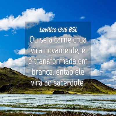 Picture 04 - Levítico 13:16 BSL - Ou se a carne crua vira novamente, e é - Bible Verse Picture