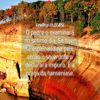 Picture 04 - Levítico 13:27 BSL - O padre o examinará no sétimo dia. Se tiver se - Bible Verse Picture