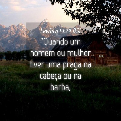 Picture 04 - Levítico 13:29 BSL - “Quando um homem ou mulher tiver uma praga na - Bible Verse Picture