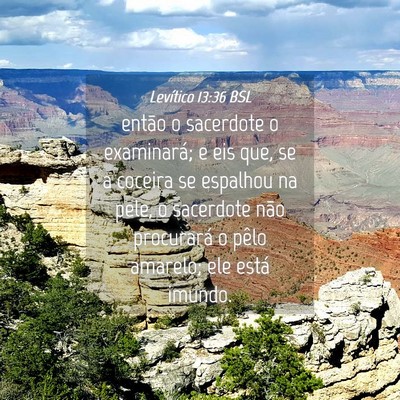 Picture 04 - Levítico 13:36 BSL - então o sacerdote o examinará; e eis que, se a - Bible Verse Picture