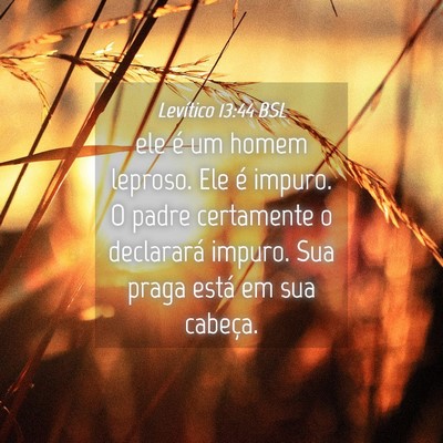 Picture 04 - Levítico 13:44 BSL - ele é um homem leproso. Ele é impuro. O padre - Bible Verse Picture