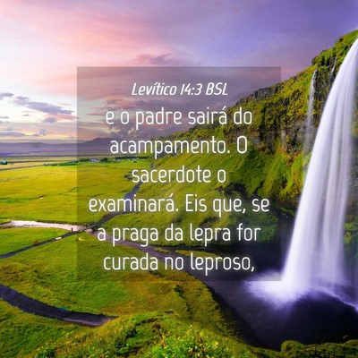 Picture 04 - Levítico 14:3 BSL - e o padre sairá do acampamento. O sacerdote o - Bible Verse Picture