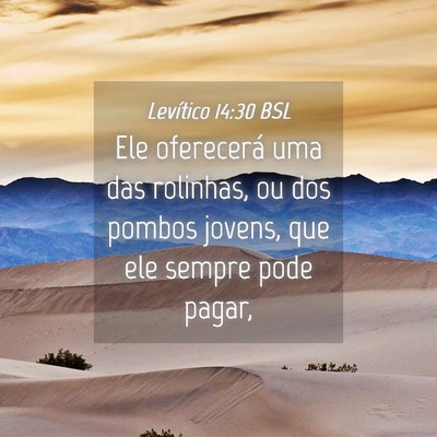 Picture 04 - Levítico 14:30 BSL - Ele oferecerá uma das rolinhas, ou dos pombos - Bible Verse Picture