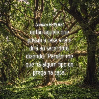 Picture 04 - Levítico 14:35 BSL - então aquele que possui a casa virá e dirá ao - Bible Verse Picture