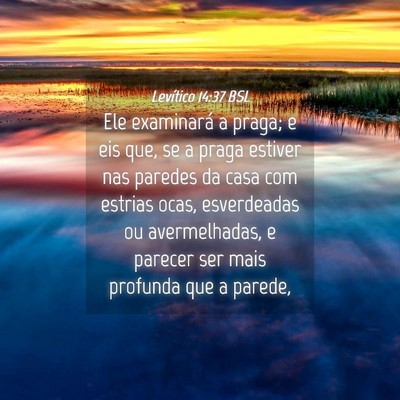 Picture 04 - Levítico 14:37 BSL - Ele examinará a praga; e eis que, se a praga - Bible Verse Picture