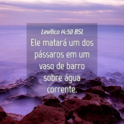 Picture 04 - Levítico 14:50 BSL - Ele matará um dos pássaros em um vaso de barro - Bible Verse Picture