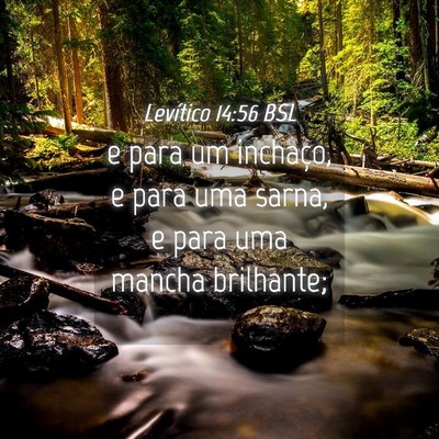 Picture 04 - Levítico 14:56 BSL - e para um inchaço, e para uma sarna, e para uma - Bible Verse Picture