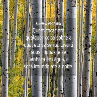 Picture 04 - Levítico 15:22 BSL - Quem tocar em qualquer coisa sobre a qual ela se - Bible Verse Picture