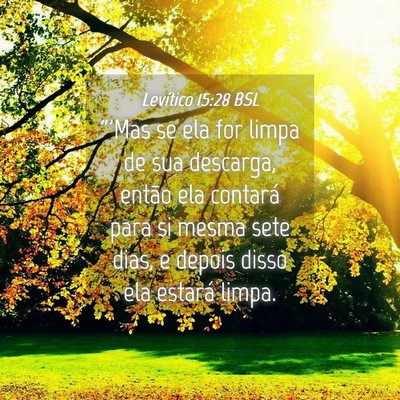 Picture 04 - Levítico 15:28 BSL - “'Mas se ela for limpa de sua descarga, então - Bible Verse Picture