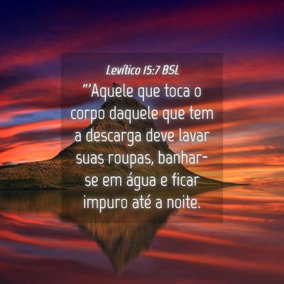 Picture 04 - Levítico 15:7 BSL - “'Aquele que toca o corpo daquele que tem a - Bible Verse Picture