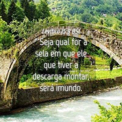 Picture 04 - Levítico 15:9 BSL - “'Seja qual for a sela em que ele que tiver a - Bible Verse Picture