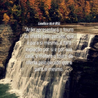 Picture 04 - Levítico 16:11 BSL - “Arão apresentará o touro da oferta pelo - Bible Verse Picture