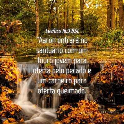 Picture 04 - Levítico 16:3 BSL - “Aaron entrará no santuário com um touro - Bible Verse Picture