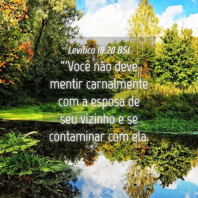 Picture 04 - Levítico 18:20 BSL - “'Você não deve mentir carnalmente com a - Bible Verse Picture