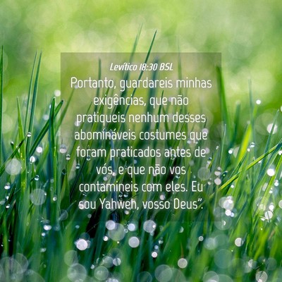 Picture 04 - Levítico 18:30 BSL - Portanto, guardareis minhas exigências, que não - Bible Verse Picture