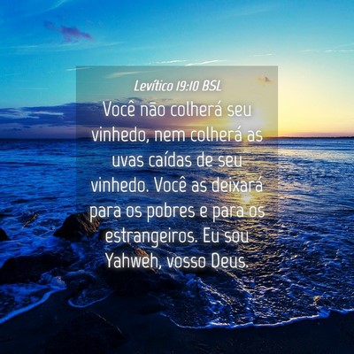 Picture 04 - Levítico 19:10 BSL - Você não colherá seu vinhedo, nem colherá as - Bible Verse Picture