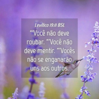 Picture 04 - Levítico 19:11 BSL - “'Você não deve roubar. “'Você não deve - Bible Verse Picture