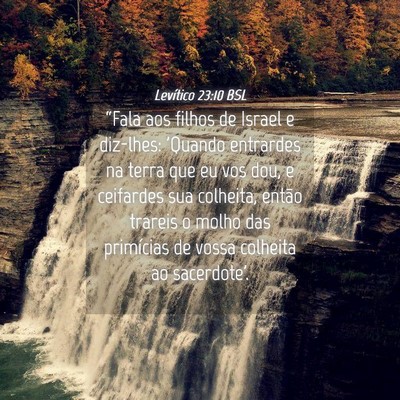 Picture 04 - Levítico 23:10 BSL - “Fala aos filhos de Israel e diz-lhes: 'Quando - Bible Verse Picture