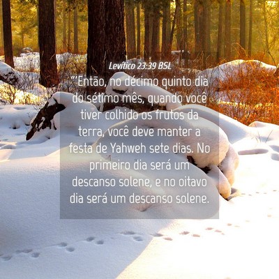 Picture 04 - Levítico 23:39 BSL - “'Então, no décimo quinto dia do sétimo - Bible Verse Picture
