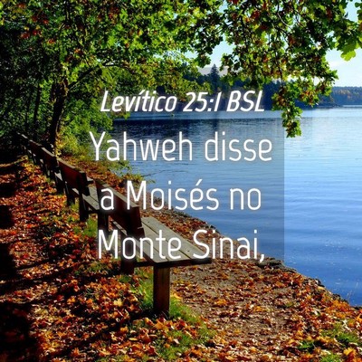 Picture 04 - Levítico 25:1 BSL - Yahweh disse a Moisés no Monte - Bible Verse Picture