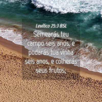 Picture 04 - Levítico 25:3 BSL - Semearás teu campo seis anos, e podarás tua - Bible Verse Picture