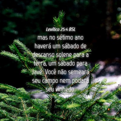 Picture 04 - Levítico 25:4 BSL - mas no sétimo ano haverá um sábado de descanso - Bible Verse Picture