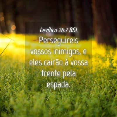 Picture 04 - Levítico 26:7 BSL - Perseguireis vossos inimigos, e eles cairão à - Bible Verse Picture