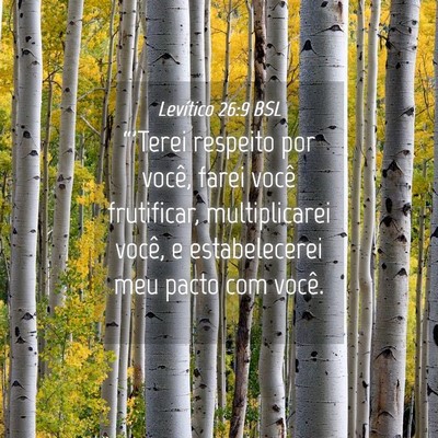 Picture 04 - Levítico 26:9 BSL - “'Terei respeito por você, farei você - Bible Verse Picture