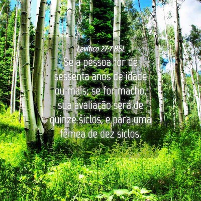Picture 04 - Levítico 27:7 BSL - Se a pessoa for de sessenta anos de idade ou - Bible Verse Picture
