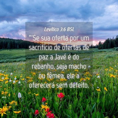 Picture 04 - Levítico 3:6 BSL - “'Se sua oferta por um sacrifício de ofertas - Bible Verse Picture
