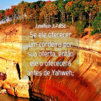 Picture 04 - Levítico 3:7 BSL - Se ele oferecer um cordeiro por sua oferta, - Bible Verse Picture