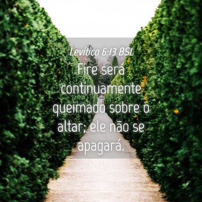 Picture 04 - Levítico 6:13 BSL - Fire será continuamente queimado sobre o altar; - Bible Verse Picture