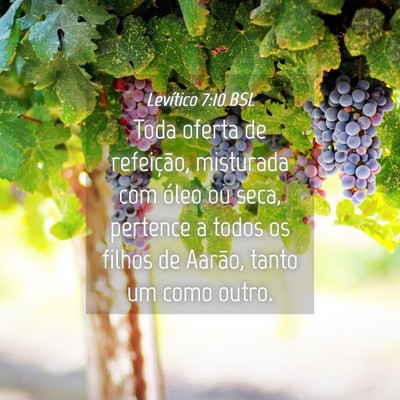 Picture 04 - Levítico 7:10 BSL - Toda oferta de refeição, misturada com óleo ou - Bible Verse Picture
