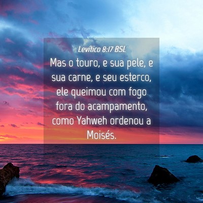 Picture 04 - Levítico 8:17 BSL - Mas o touro, e sua pele, e sua carne, e seu - Bible Verse Picture