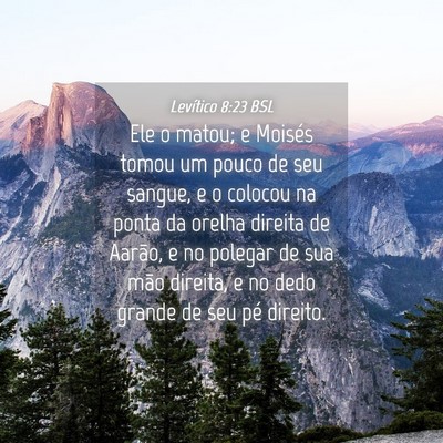 Picture 04 - Levítico 8:23 BSL - Ele o matou; e Moisés tomou um pouco de seu - Bible Verse Picture