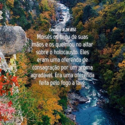Picture 04 - Levítico 8:28 BSL - Moisés os tirou de suas mãos e os queimou no - Bible Verse Picture