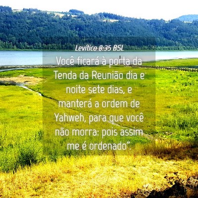 Picture 04 - Levítico 8:35 BSL - Você ficará à porta da Tenda da Reunião dia e - Bible Verse Picture