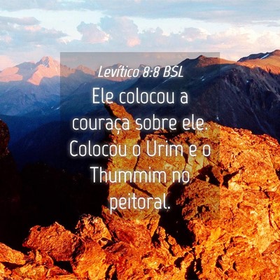 Picture 04 - Levítico 8:8 BSL - Ele colocou a couraça sobre ele. Colocou o Urim - Bible Verse Picture