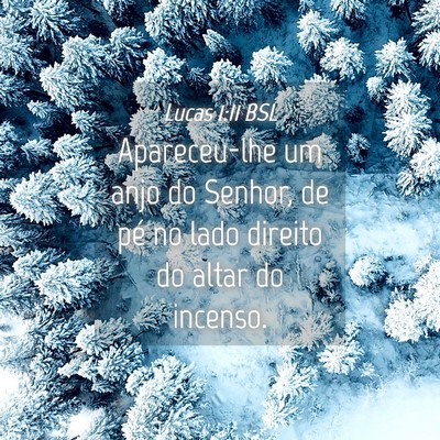 Picture 04 - Lucas 1:11 BSL - Apareceu-lhe um anjo do Senhor, de pé no lado - Bible Verse Picture