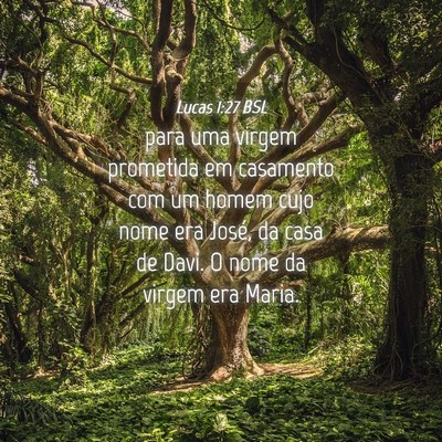 Picture 04 - Lucas 1:27 BSL - para uma virgem prometida em casamento com um - Bible Verse Picture