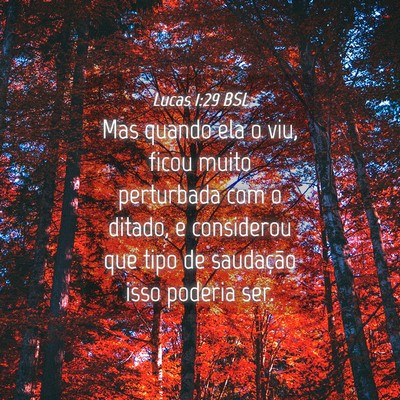 Picture 04 - Lucas 1:29 BSL - Mas quando ela o viu, ficou muito perturbada com - Bible Verse Picture