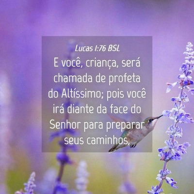 Picture 04 - Lucas 1:76 BSL - E você, criança, será chamada de profeta do - Bible Verse Picture